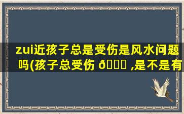 zui
近孩子总是受伤是风水问题吗(孩子总受伤 🐛 ,是不是有风水不好)